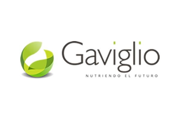 Gaviglio Comercial